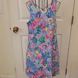Lilly Pulitzer Kristen Dress Me And My Zesty